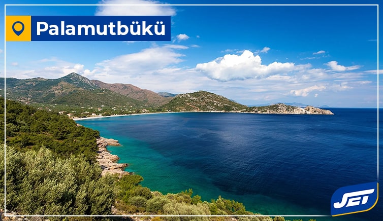 Dalaman - Palamutbükü VIP Transfer